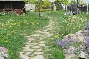 Kwietniowa ścieżka w ogrodzie wiejskim   