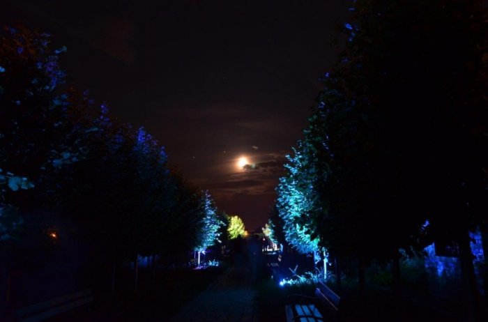 38 Noc w Ogrodzie 2014   fot  J  Skibiński