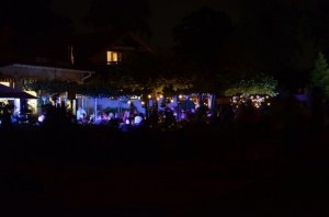 45 Noc w Ogrodzie 2014   fot  J  Skibiński
