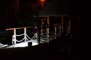 47 Noc w Ogrodzie 2014   fot  J  Skibiński