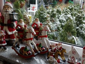 Boże Narodzenie 2016   Centrum Ogrodnicze KAPIAS  127 
