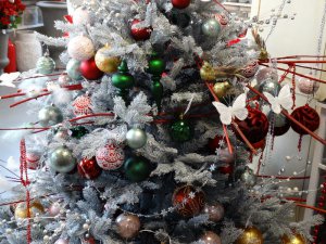 Boże Narodzenie 2016   Centrum Ogrodnicze KAPIAS  140 