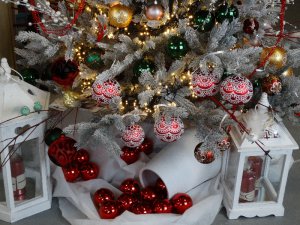 Boże Narodzenie 2016   Centrum Ogrodnicze KAPIAS  143 