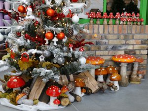 Boże Narodzenie 2016   Centrum Ogrodnicze KAPIAS  19 