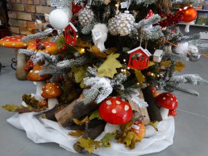 Boże Narodzenie 2016   Centrum Ogrodnicze KAPIAS  21 