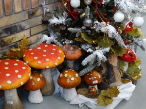 Boże Narodzenie 2016   Centrum Ogrodnicze KAPIAS  23 