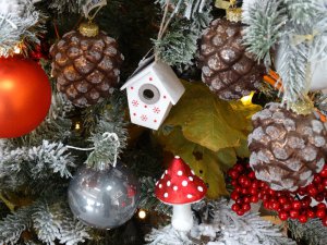 Boże Narodzenie 2016   Centrum Ogrodnicze KAPIAS  24 