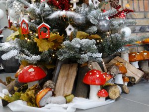 Boże Narodzenie 2016   Centrum Ogrodnicze KAPIAS  26 
