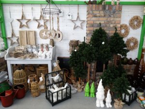 Boże Narodzenie 2016   Centrum Ogrodnicze KAPIAS  29 