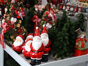 Boże Narodzenie 2016   Centrum Ogrodnicze KAPIAS  35 