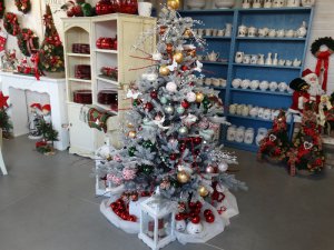 Boże Narodzenie 2016   Centrum Ogrodnicze KAPIAS  61 