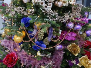 Boże Narodzenie 2016   Centrum Ogrodnicze KAPIAS  91 