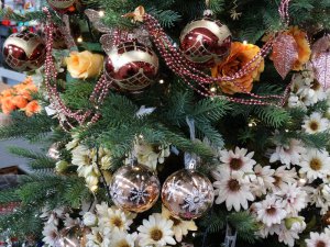 Boże Narodzenie 2016   Centrum Ogrodnicze KAPIAS  94 