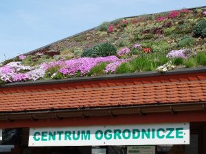 Centrum Ogrodnicze KAPIAS 2018