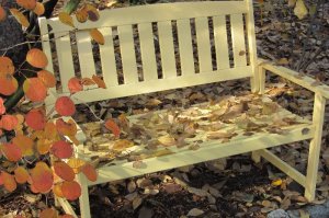 Jesienna ławka 2   Stary Ogród   