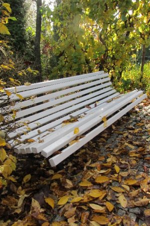 Jesienna ławka   Stary Ogród   