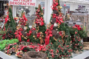 Kiermasz Bożonarodzeniowy 2015   Centrum Ogrodnicze  73 