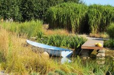 Niebieska łódka w ogrodzie z trawami ozdobnymi, w tle widoczny miskant chiński