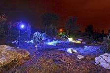 Noc w Ogrodzie - Ogród JESIEŃ z wapiennymi skałami  - lipiec 2013