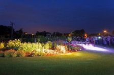 Noc w Ogrodzie - oglądamy fruwające świetliki - lipiec 2013 rok 