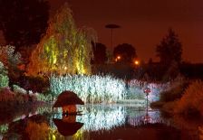 Noc w Ogrodzie - domek dla kaczek - lipiec 2013 