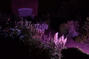 noc w ogrodzie kapias 2015 22