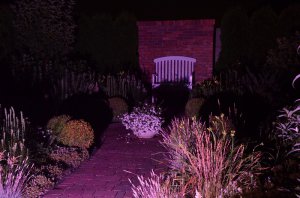 noc w ogrodzie kapias 2015 41