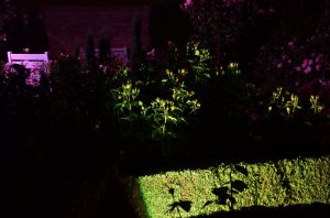 noc w ogrodzie kapias 2015 54