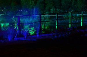 noc w ogrodzie kapias 2015 56