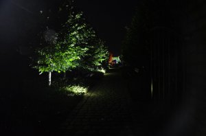 noc w ogrodzie kapias 2015 66