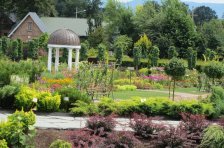 Ogród z różą   zdjęcie z tarasu widokowego