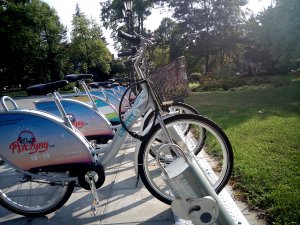 Pszczyna - rowery miejskie