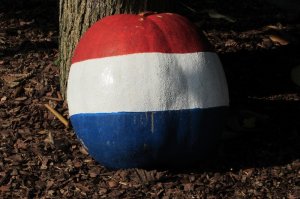 Stary Ogród   flaga w Zaułku Holenderskim   