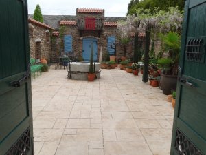 wisteria w patio włoskim  10 